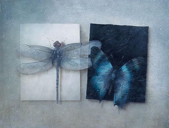 Insectia: Asymmetry by Julia Gukova