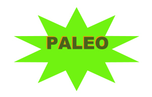 PaleoFlat