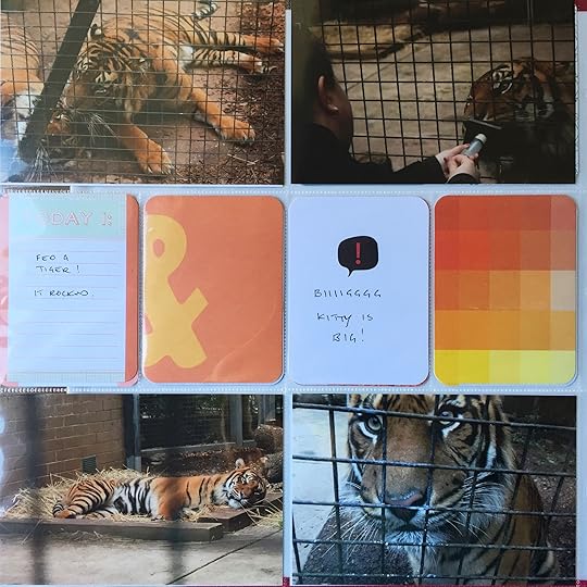Projectlifefeedingtigers