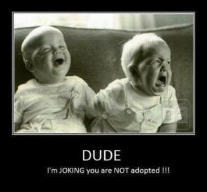 A - humor adopted