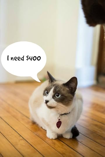 cute kitten needs money - click Display Images to see this