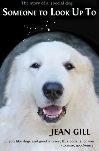 Someone to Look Up To