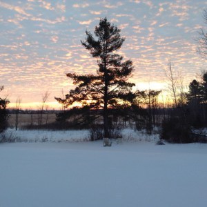 sunrise in Pakenham