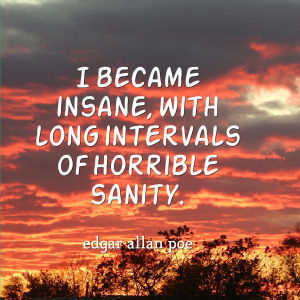 edgar allan poe became insane