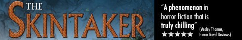 cropped-skintakerwp1.jpg