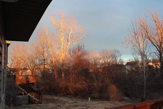 late January 004