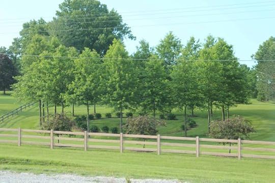 Circle of Trees