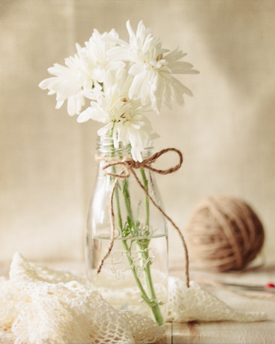 Post image for Photo Friday – Gather