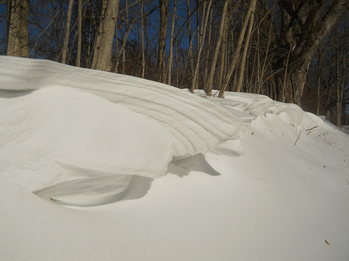 snow waves