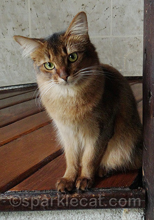 This is my serious and concerned look!