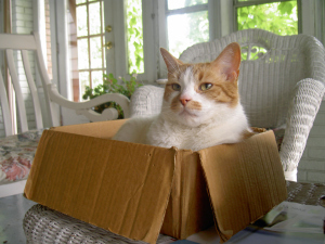 Anything more universal and less sophisticated than a box?