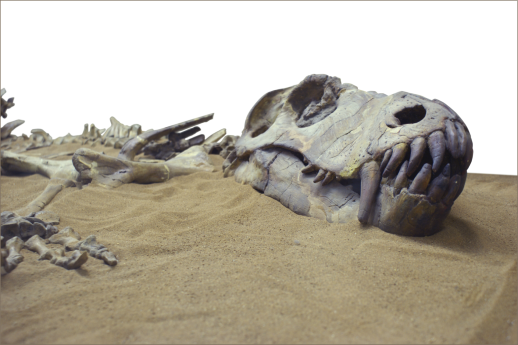 dinosaur in the sand