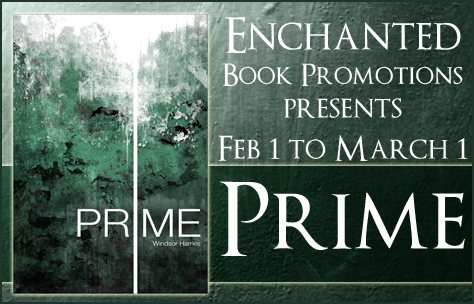 primebanner