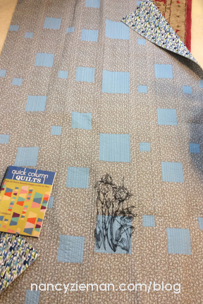 Sewing With Nancy Viewers' Projects and Inspiration Sources