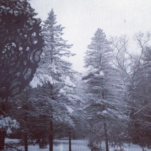 snowday2