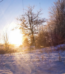 January2015WesternReserve4