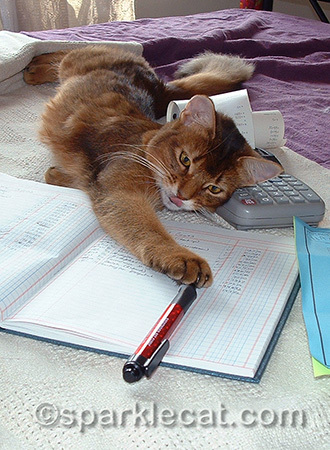 She was very good at helping!