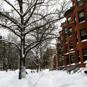 Winter Storm 1