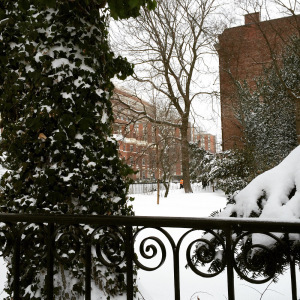 Winter Storm 3