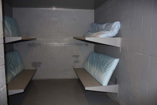  photo Cells_zps007747d9.jpg