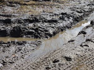 mud