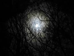 Unknown-1