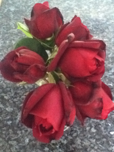 mr lincoln roses