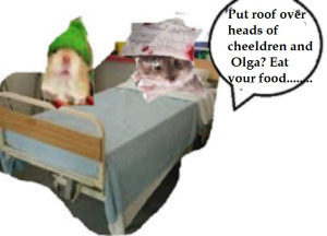 zfgre777---------------