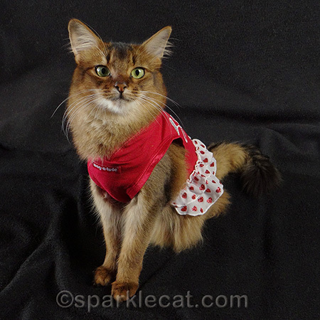 I do look like someone's sweetheart, don't I?