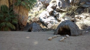 Palm Springs Fan Palms Indian Hut