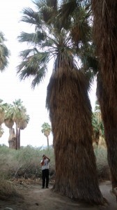 Palm Springs Oasis with Larry