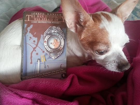  photo 20150202_125424_zpsxvta0dk8.jpg