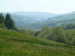 uplands