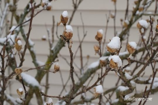 snow