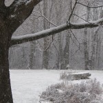 Photo by Lisa Pearson