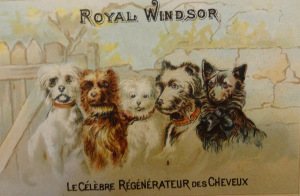 ???????????????????????????????