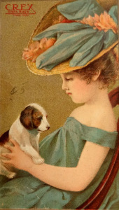 ???????????????????????????????