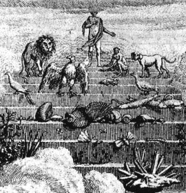 The chain of being, from Charles Bonnet, ��uvres d'histoire naturelle et de philosophie, 1779-83