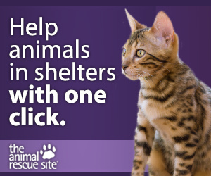 The Animal Rescue Site