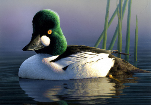 Painting by Robert Steiner