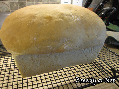sour cream bread