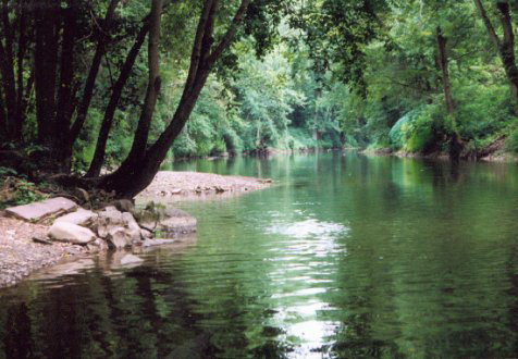  photo Wooded_Stream_zpse5390a6c.jpg