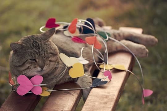 Cat sitting on multicolored hearts