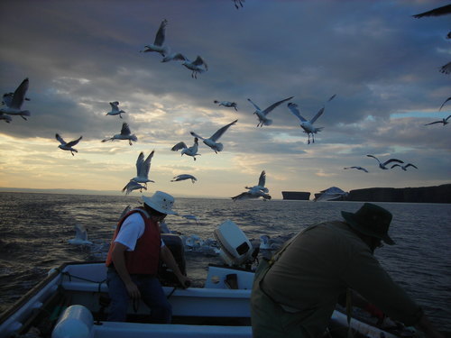 That's my hubby steering the boat and my dad cleaning the fish. My editor was on this trip, and she took the photo. Trust me, when she was editing Against Her Rules, she didn't question that scene at all! 