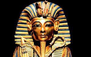 tut_798779c