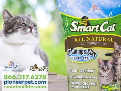 Smart_Cat_litter