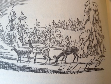 illus