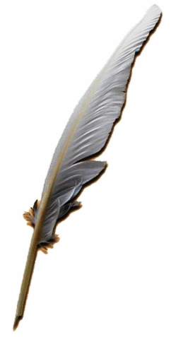 wriing pen photo: thepen Quill_pen.png