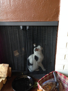 He's feline so sad that he climbed into the fireplace. This is a cat-astrophe. 