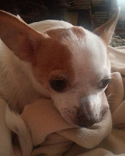  photo e77afe4e-c562-48dd-b266-8d12fd5a3ae0_zps79b57794.jpg